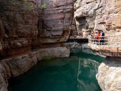 上海医保转出全流程指南：用"安出掌柜"轻松搞定异地转移手续