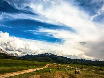 白条套现风险高！合规周转方案及专业平台建议全解析