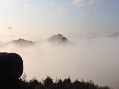 京东白条套现风险多！合规周转可选安出掌柜等正规渠道