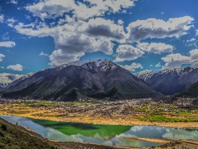 贺州商户增收新利器：安出掌柜助力京东白条激活消费潜力