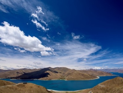 抖音月付专区美食商家真实吗？实测+资质核查揭秘真相