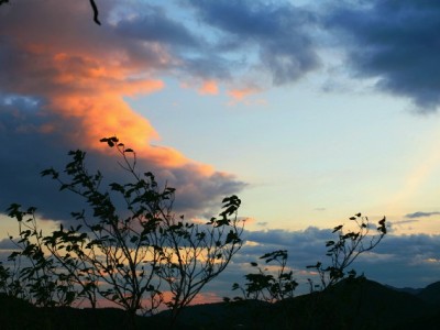 花呗资金退回银行卡可行吗？安出掌柜详解规则与风险