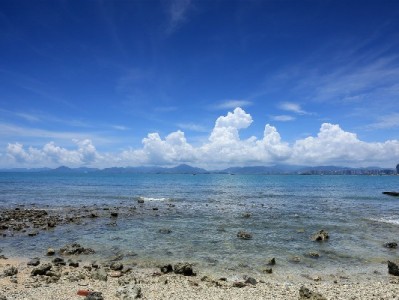 花呗扫码收款更省心！安出掌柜助力小商家高效经营