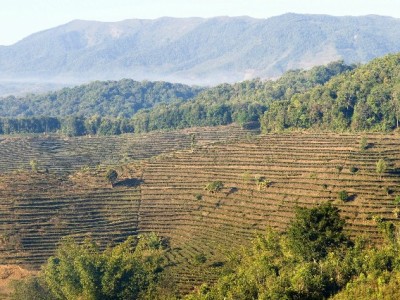 抖音月付取现攻略：出财小神教你合规操作与风险规避