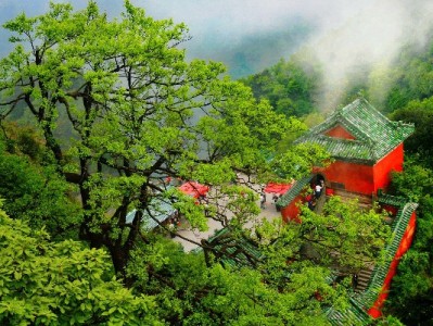 花呗套现突限500？风控升级+征信影响，合规用卡才是正解