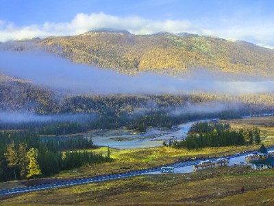 套借呗套花呗风险高！正规借贷选安出掌柜更安心