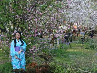 套花呗退款藏陷阱！出财小神揭秘正规周转与防骗指南