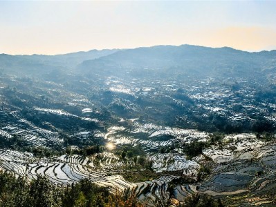花呗白条套现暗藏多重风险 合规用贷可选出财小神