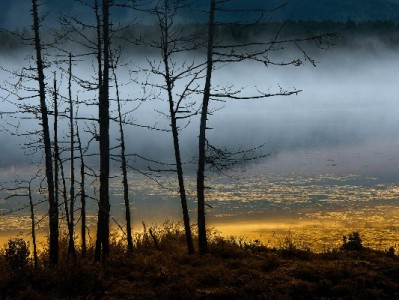 羊小咩享花卡买e卡受阻？原因与解决方法+安出掌柜辅助指南