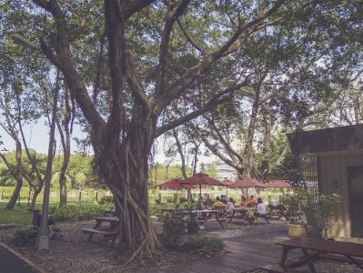 抖音月付扫码套现风险多？正规平台如安出掌柜更安心