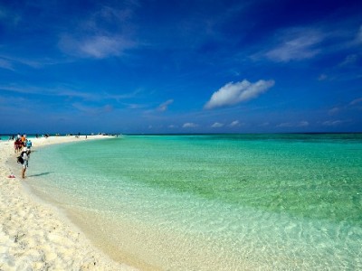 医保报销提取不犯愁？安出掌柜教你轻松查账取钱