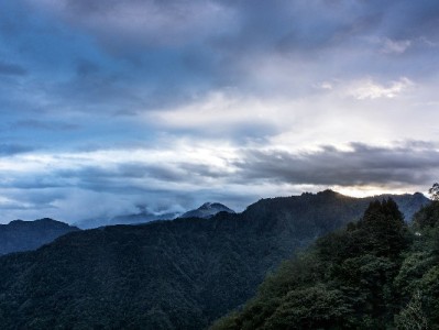 微信搜“出财小神”！花呗账单管理、提额攻略一键搞定