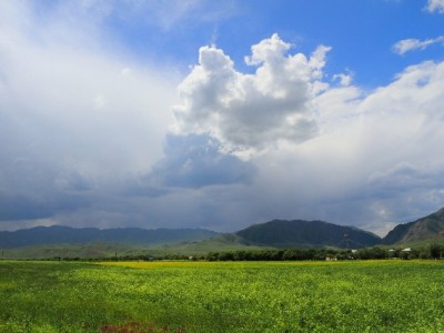 大学生花呗套现"出财小神"走红？警惕额度变现背后的信用危机