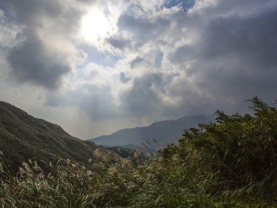 合肥白条临时用款需求升温 出财小神合规当面服务解难题