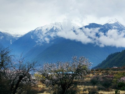 从花呗借呗监管套利到出财小神转型：金融科技如何走稳合规路？