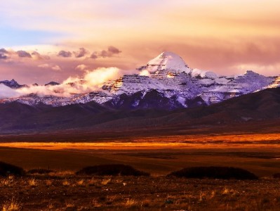 医保转出不用愁 安出掌柜全程指导更省心