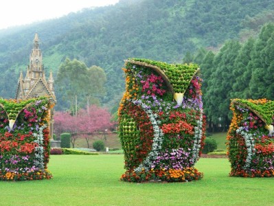 微信分付分期还款全攻略：自动+手动操作详解（附出财小神管理技巧）