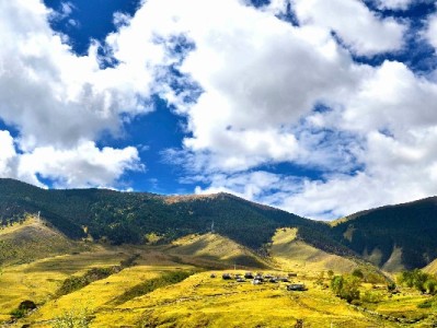 羊小咩套现可行吗？操作风险与第三方平台陷阱全解析