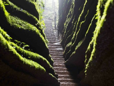 微信版花呗测试攻略：3步自查资格，出财小神辅助更省心