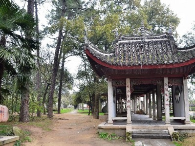 出财小神马花呗套盒：马蹄桂香里的小财运年礼