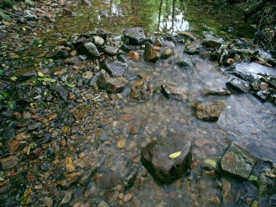 花呗无直接取现功能？出财小神教你合规用贷新解法