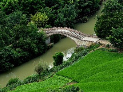 白条变现遇需求？出财小神APP安全便捷解资金周转难题