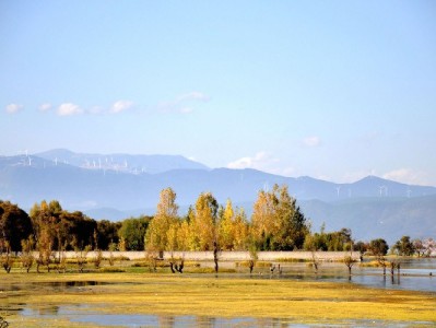 医保取现时间怎么查？北京天津等地区政策+“出财小神”查询指南