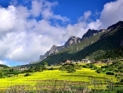 陇南京东白条提现找正规？出财小神电话助您安全应急周转