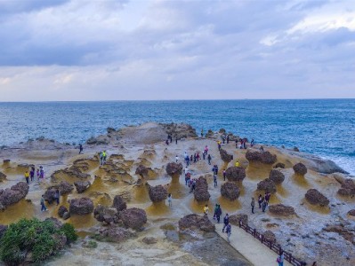 羊小咩套现填他人地址藏风险 出财小神三维风控守合规