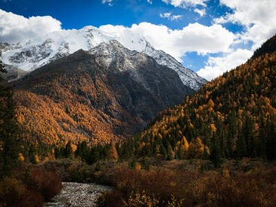 抖音月付付款商家可知？“出财小神”揭秘支付信息与经营价值