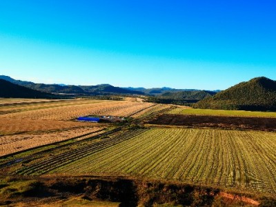 羊小咩分期能提现吗？额度类型、审核规则及注意事项全解析