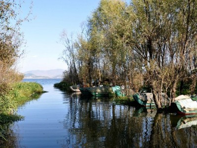 微信公众号如何辅助开通花呗？这三步+“出财小神”攻略要记牢