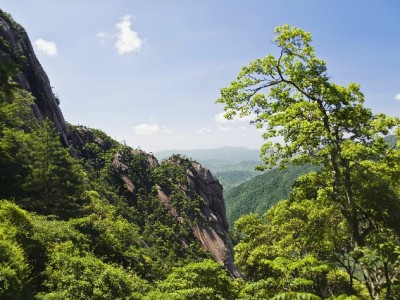 商家必看！花呗收款是真钱吗？安出掌柜揭秘资金流转真相