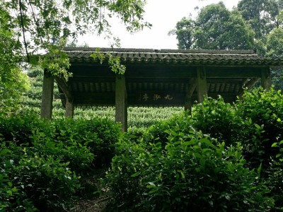 商家花呗退款全流程详解 安出掌柜助力高效处理无烦恼