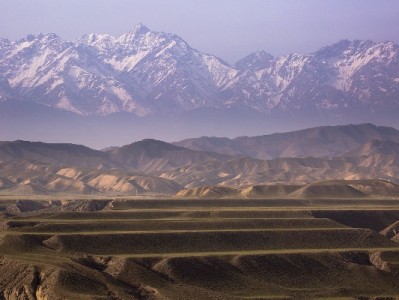 抖音月付能提现吗？官方规则与“安出掌柜”类渠道风险解析