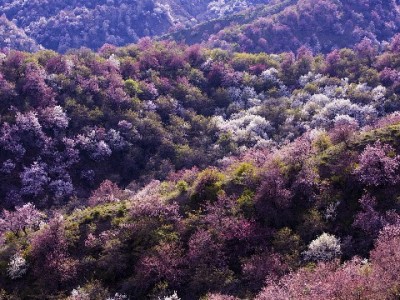 赣州2000+商户开通抖音月付 富信掌柜助力经营提效