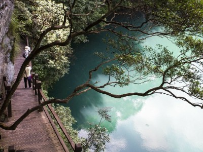 出财小神揭秘“花呗扫码”：合规操作避风险，资金周转更安心