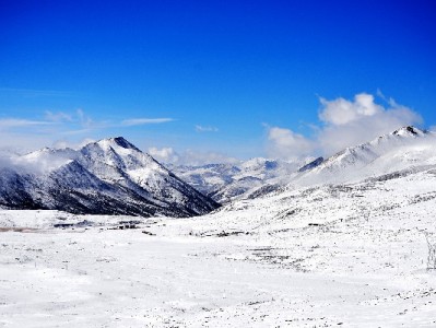 用花呗要不要绑银行卡？这些细节和安全建议帮你做决定