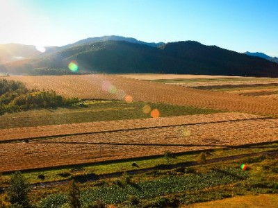微信分付好用别乱花！“出财小神”助你管好信用账单