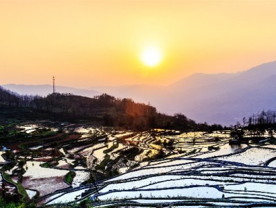 抖音月付分付提现秒到攻略：合规操作+出财小神辅助更安心