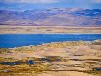 富信掌柜支招：联通套餐+花呗分期，轻松解锁5G手机无压力