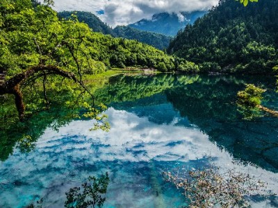 白条套现不止微信！出财小神提醒多渠道风险与合规建议