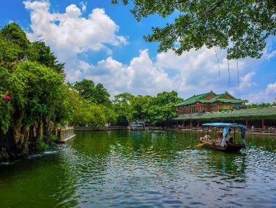 京东白条提现全流程详解+注意事项，出财小神教你用活信用额度