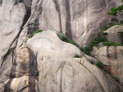 白条取现可分期还款！灵活周转缓解压力，消费金融更人性化