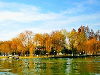 海南医保个账取出指南：这3类情况可申请，流程细节一文说清