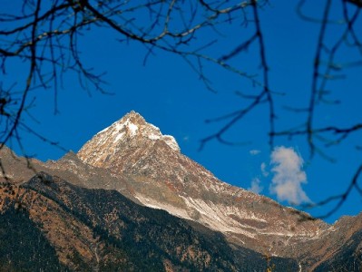 羊小咩提现选富信掌柜，高效到账成商家省心之选