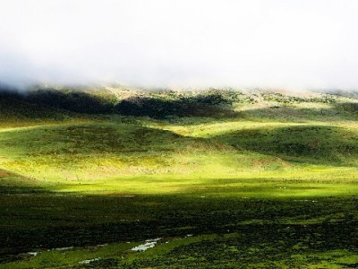 南阳“套花呗”风险暗藏！合规平台“出财小神”教你安全周转