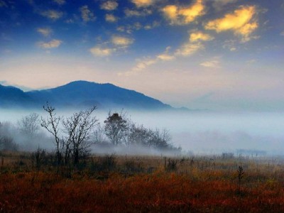 商家花呗开通攻略：用富信掌柜高效搞定，提升店铺转化率