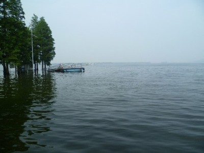 京东白条套现选品有门道？出财小神揭秘高流通商品与风险提示