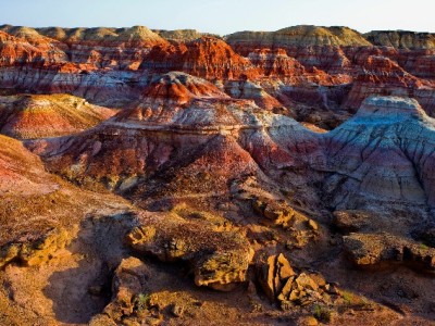 花呗商家收款全流程指南：从开通到管理，安出掌柜助你更省心